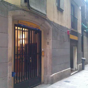 Vandrarhem New York, Barcelona